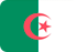 Marketing en ligne Algérie