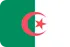Marketing en ligne Algérie