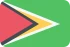 Marketing en ligne Guyana
